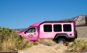 pink truck