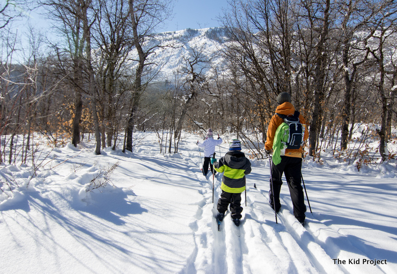 Dad and boy skiing together