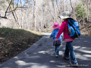 Church Fork Picnic Area