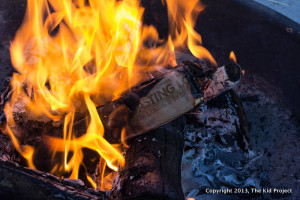 duraflame roasting logs