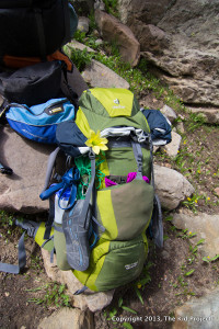 Deuter ACT Lite SL