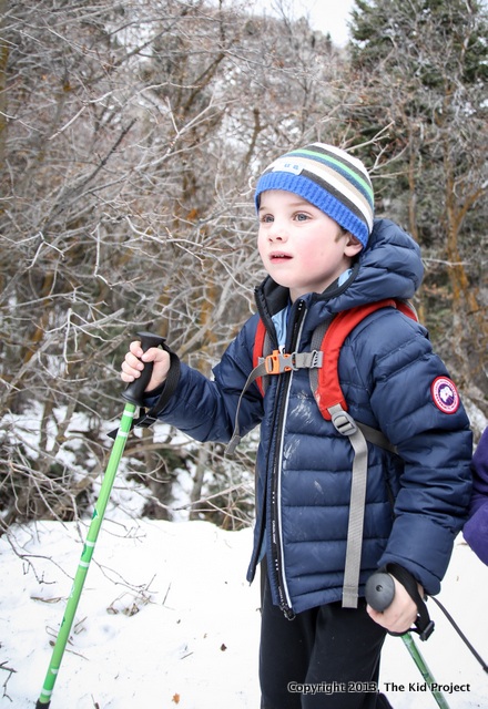 kids trekking pole