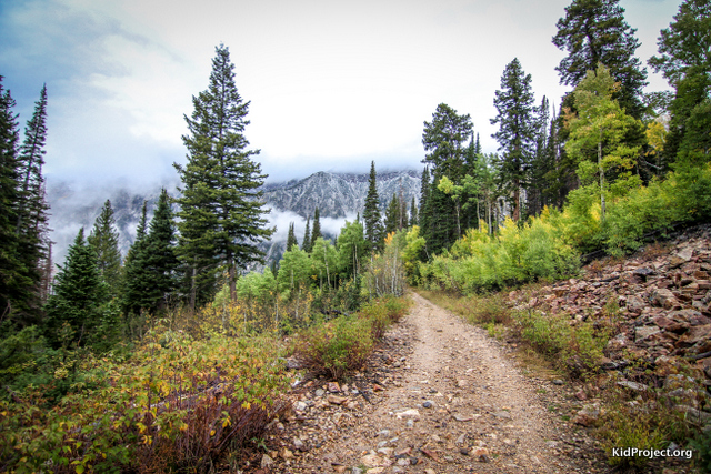 Hiking White Pine in the Wasatch