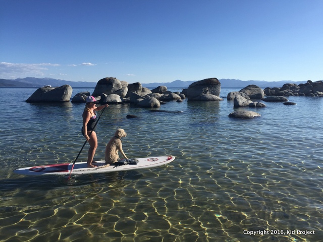 north lake Tahoe beaches family friendly, dog friendly