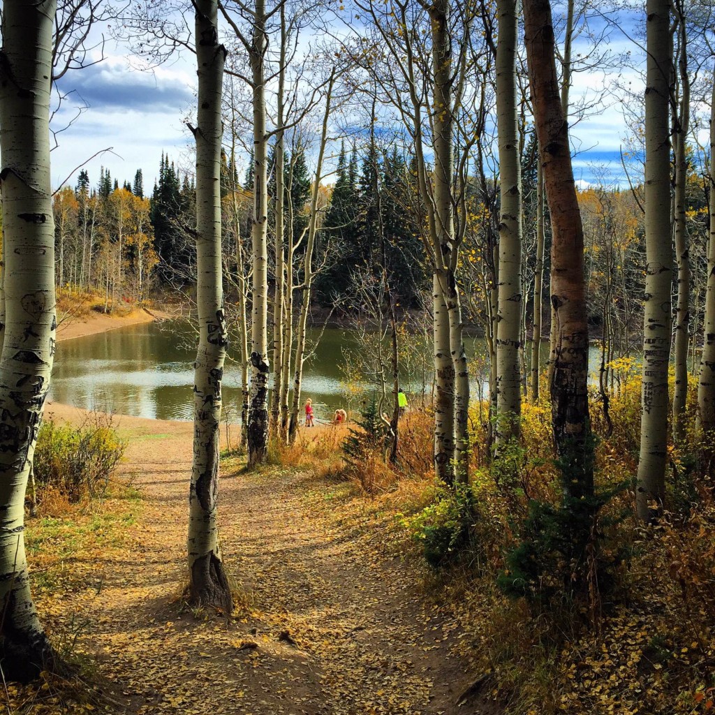 Dog Lake via Upper Big Water in fall