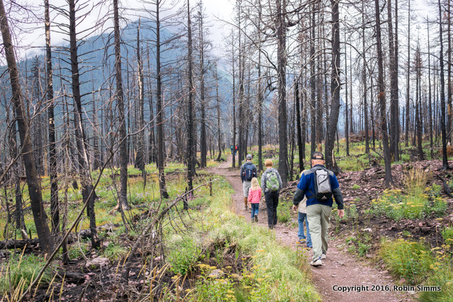 hiking to St. mary's Falls, Glacier National Park