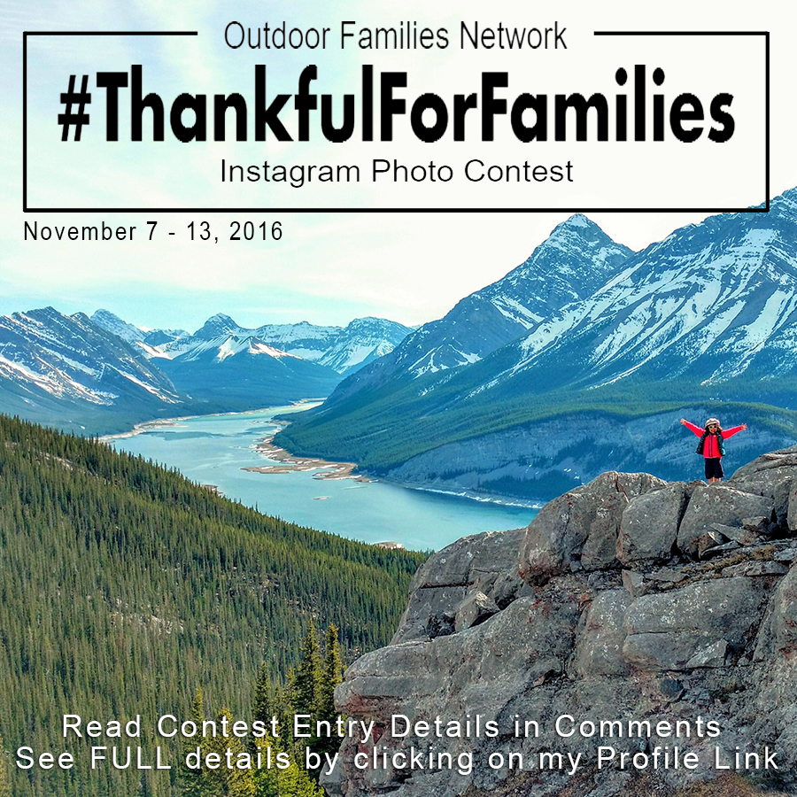 #Thankfulforfamilies full sponsorlist promo4