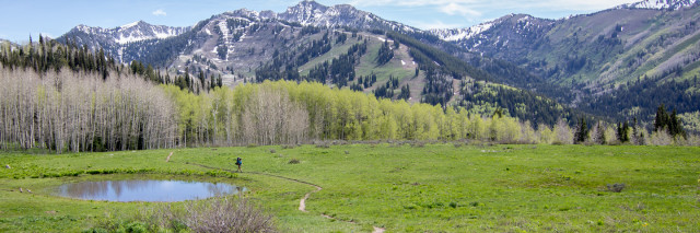 Trail into Willow heights Lake, Utah