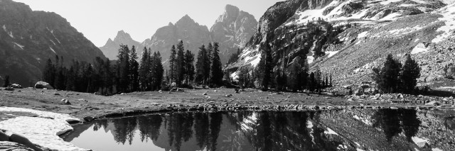 black and white / Teton National Park