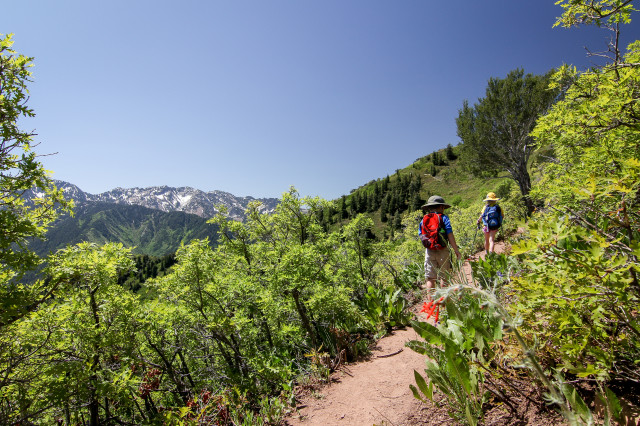 Hiking Grandeur Peak, Utah with kids