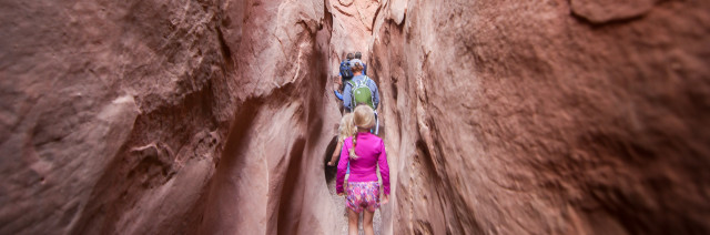 Little Wild Horse Canyon full res