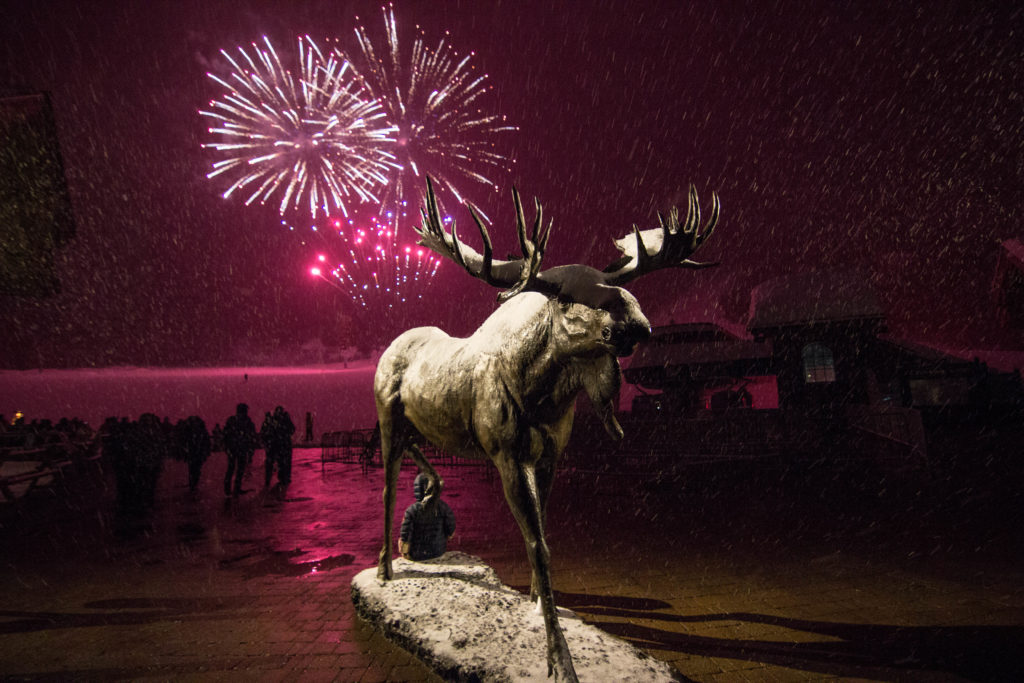 Snowbasin Resort moose