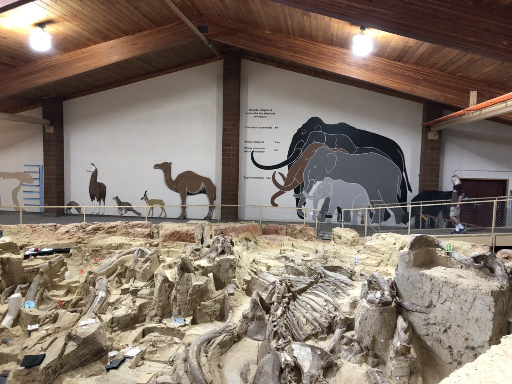 Mammoth site, south dakota